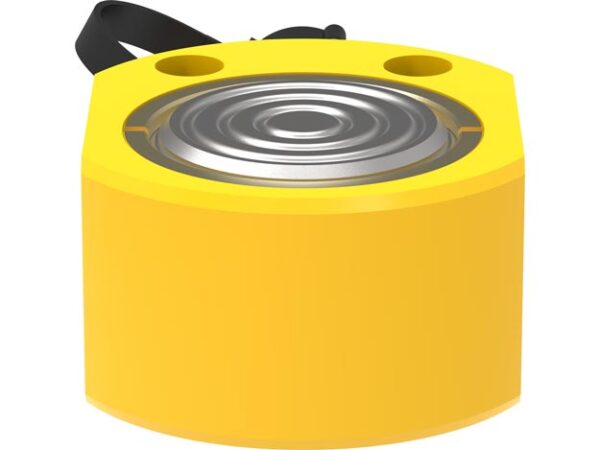 RSM300